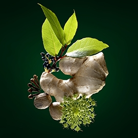 Alcoholate active ingredient of fioravanti | René Furterer Alcoholate active ingredient of fioravanti | René Furterer