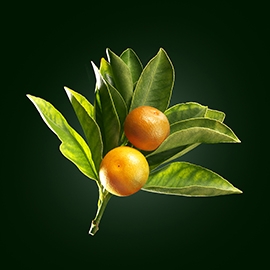 Sweet orange active ingredient | René Furterer